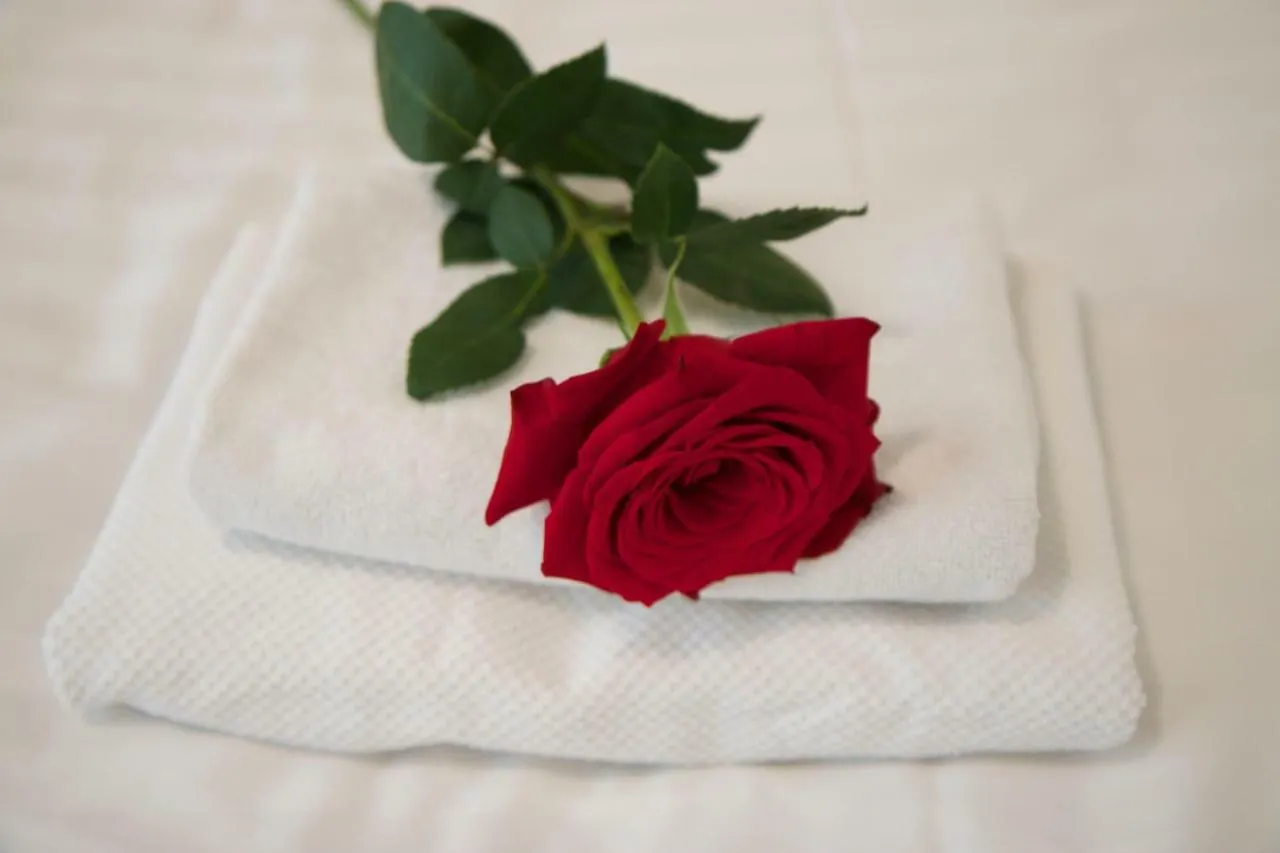 ***  Hotel Karlin براغ جمهورية التشيك